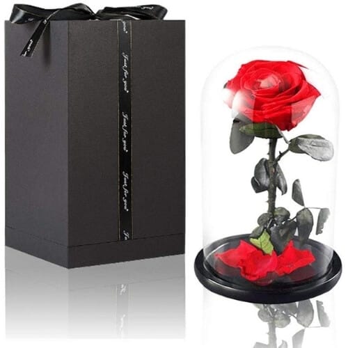 Formemory Eternal Rose Red Awesome Ruby Wedding Gift Ideas For Him