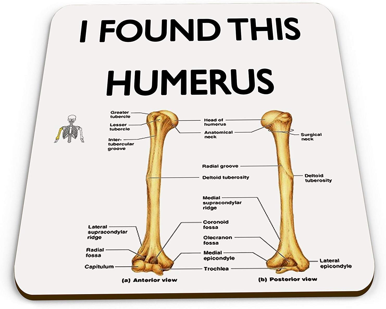 Humerus Funny Novelty Gift Mug Coaster