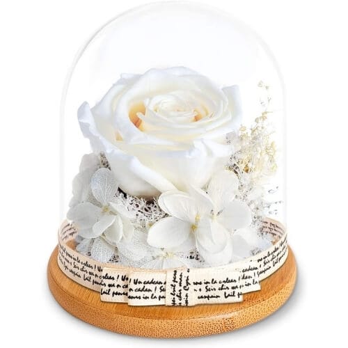 KING DOO Handmade Preserved Real Rose, Upscale Flowers Amazing 13th-Anniversary Gift Ideas