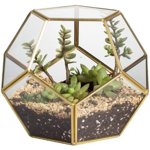 Handmade Gold Brass Tabletop Geometric Pentagon Ball Shape Open Terrarium for Fern Moss Succulent Air Plant Holder Thoughtful And Unusual Gifts For Mum